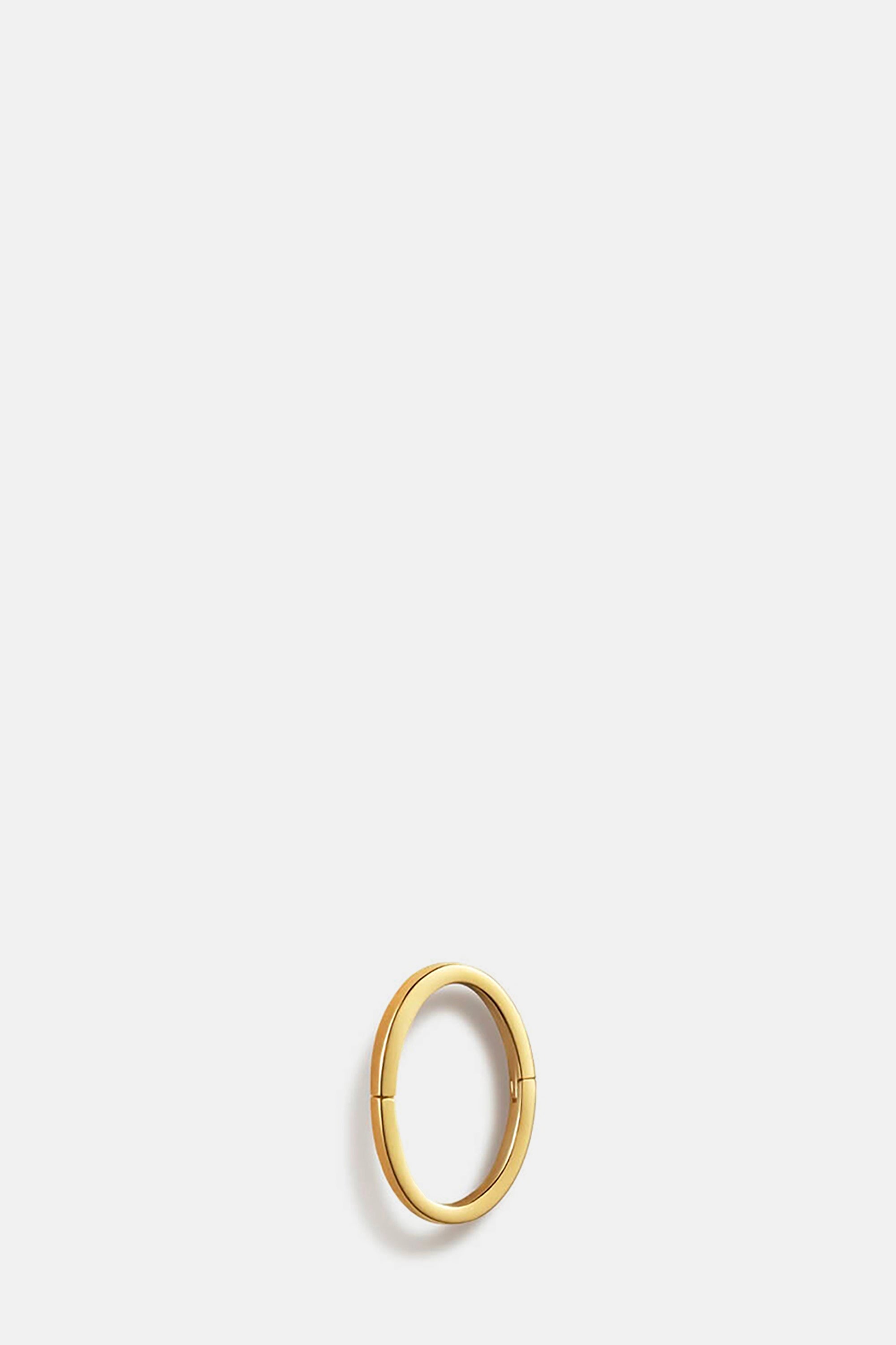 Gold Form Earring 10(01)