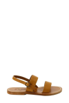 Barigoule H