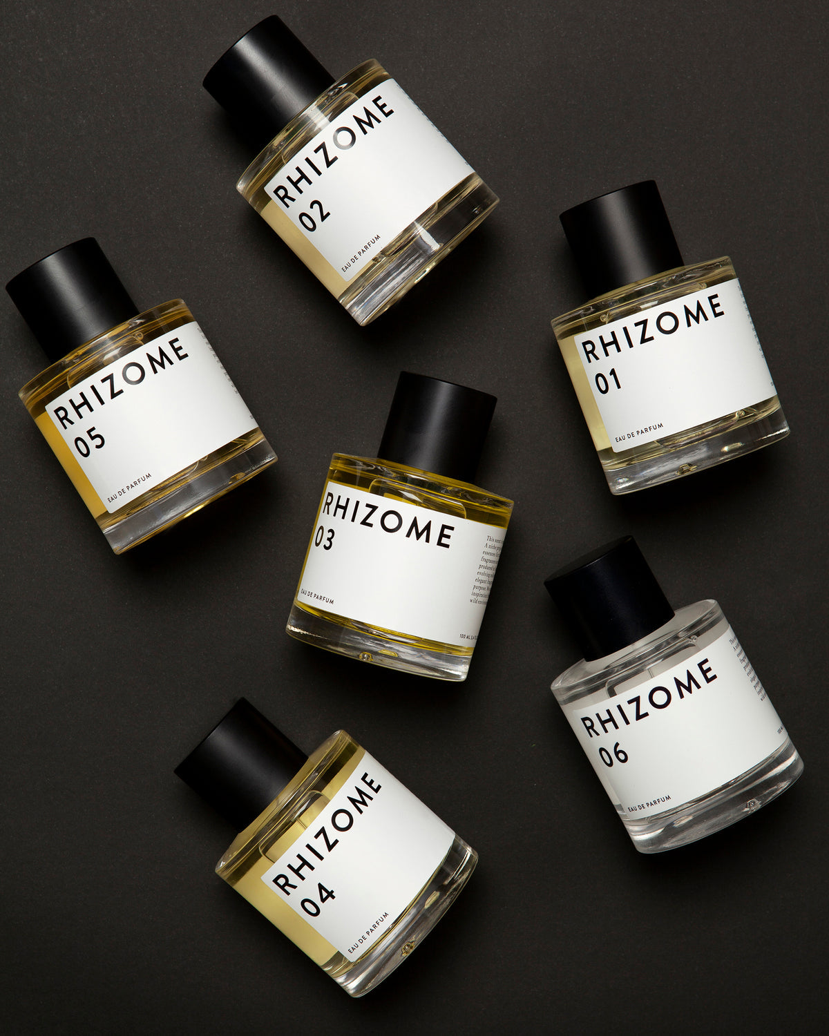 Rhizome - Perfume 04
